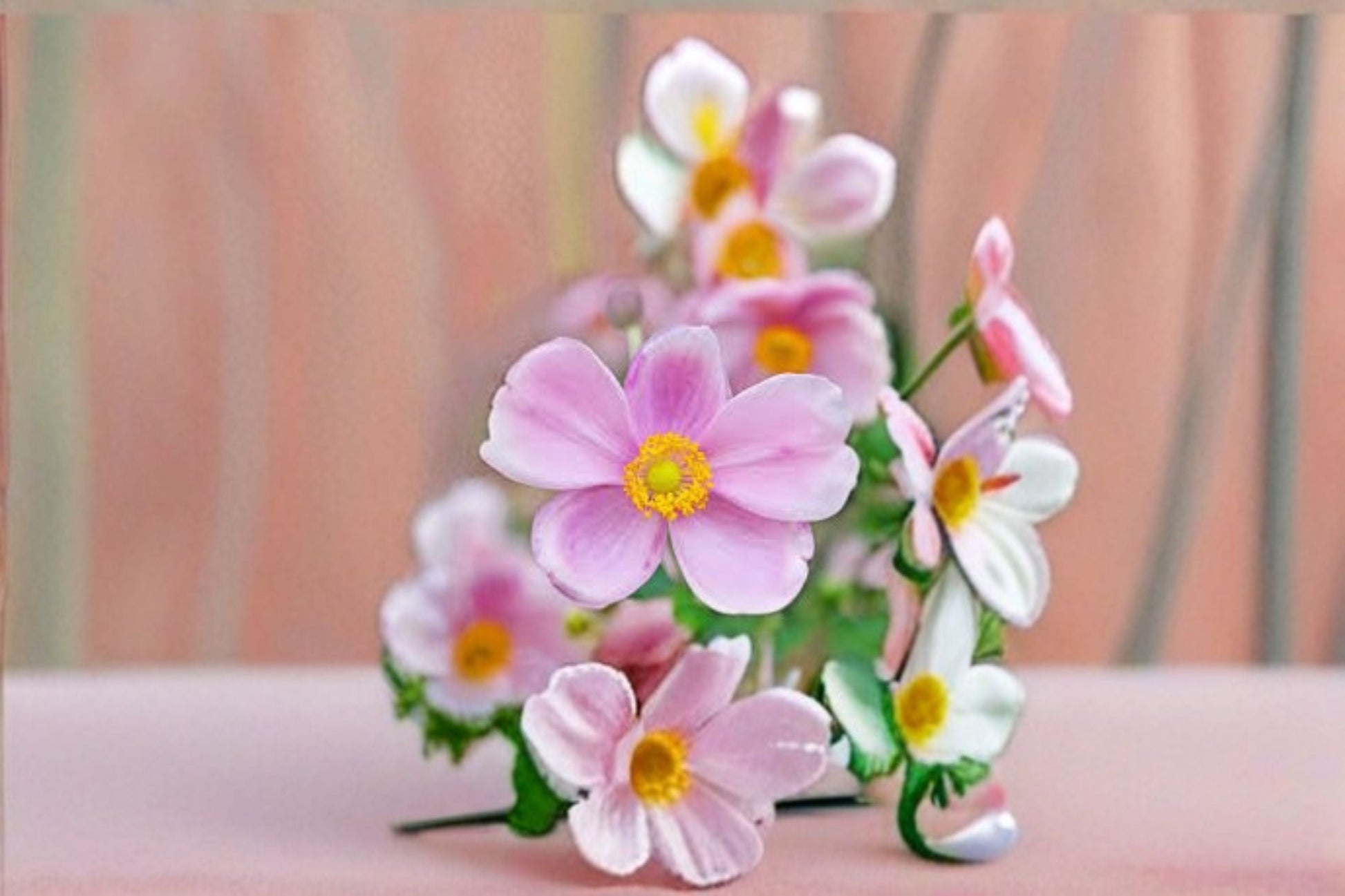 Pink Japanese Anemone Bare Root Plant - Robustissima Variety - Anemone tomentosa - Silvery-Pink Flowers for Gardens