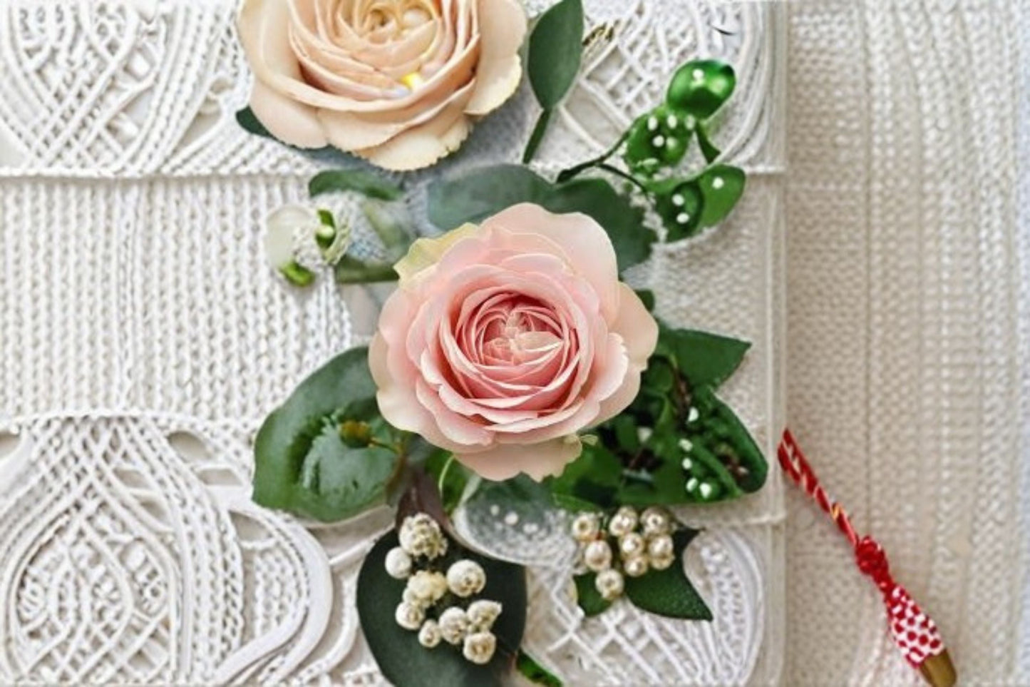 Unforgettable Rose Live Plant - Dutch VIP Cut Rose - Pink Blooms - Rosa hybrid - Ornamental Flowering Bush for Garden & Patio
