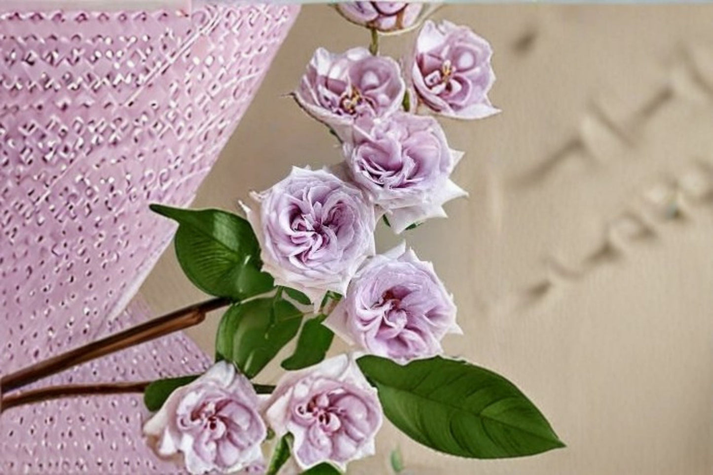 Purple O'Hara Rose Plant 6 Inch Starter - Purple Cut Rose - Rosa hybrid - Own Root Live Plant for Garden & Containers