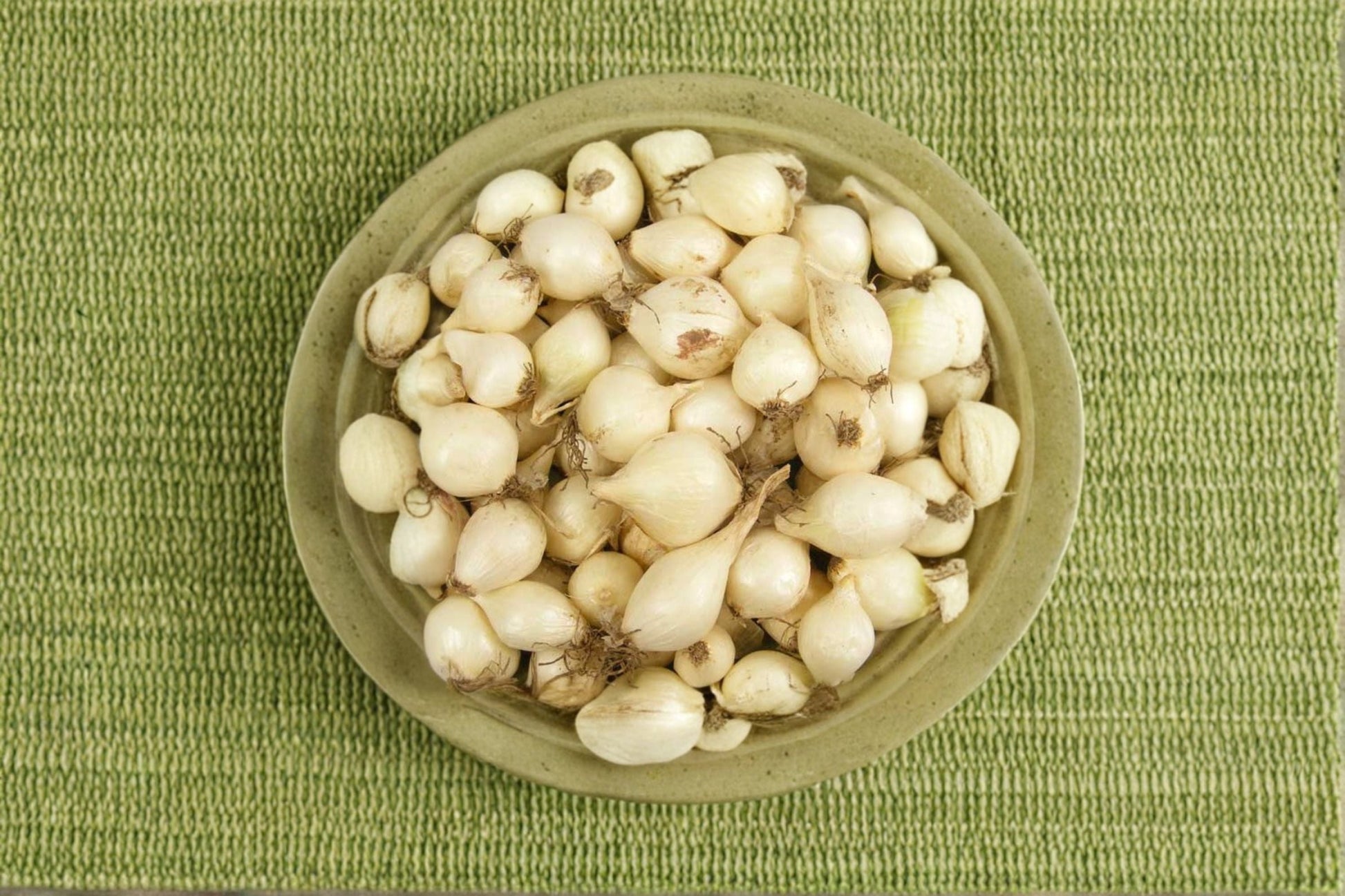 White Ebenezer Onion Sets 8 oz - Non-GMO Allium cepa Bulbs for Vegetable Garden, Raised Beds, and Edible Landscapes