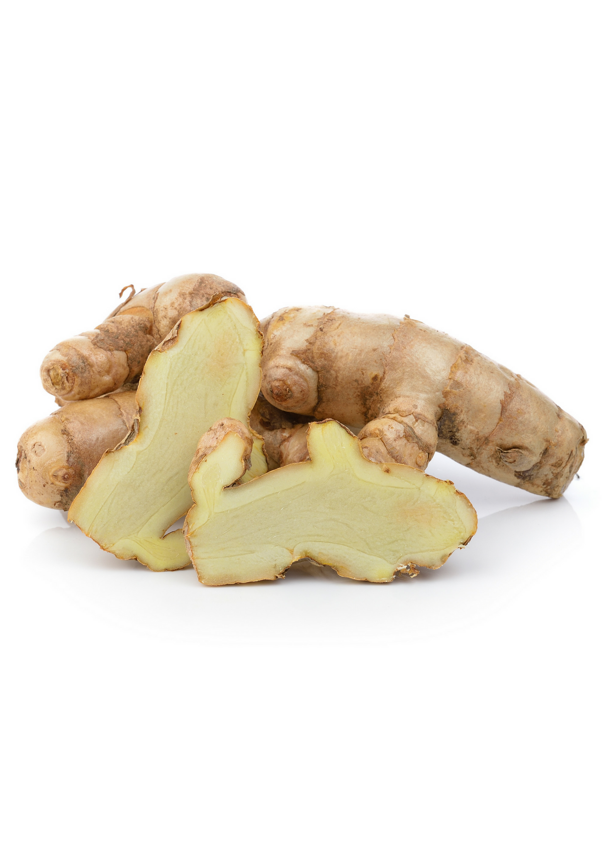 Turmeric, White (Curcuma zedoaria)