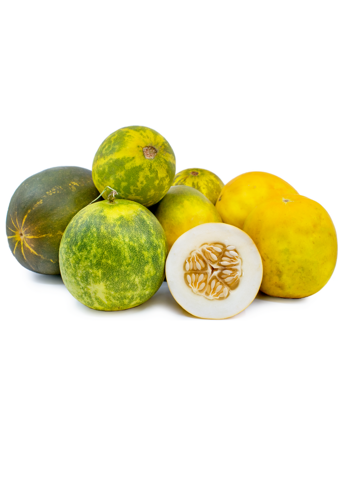 Dosakai (Cucumis melo var. chito)