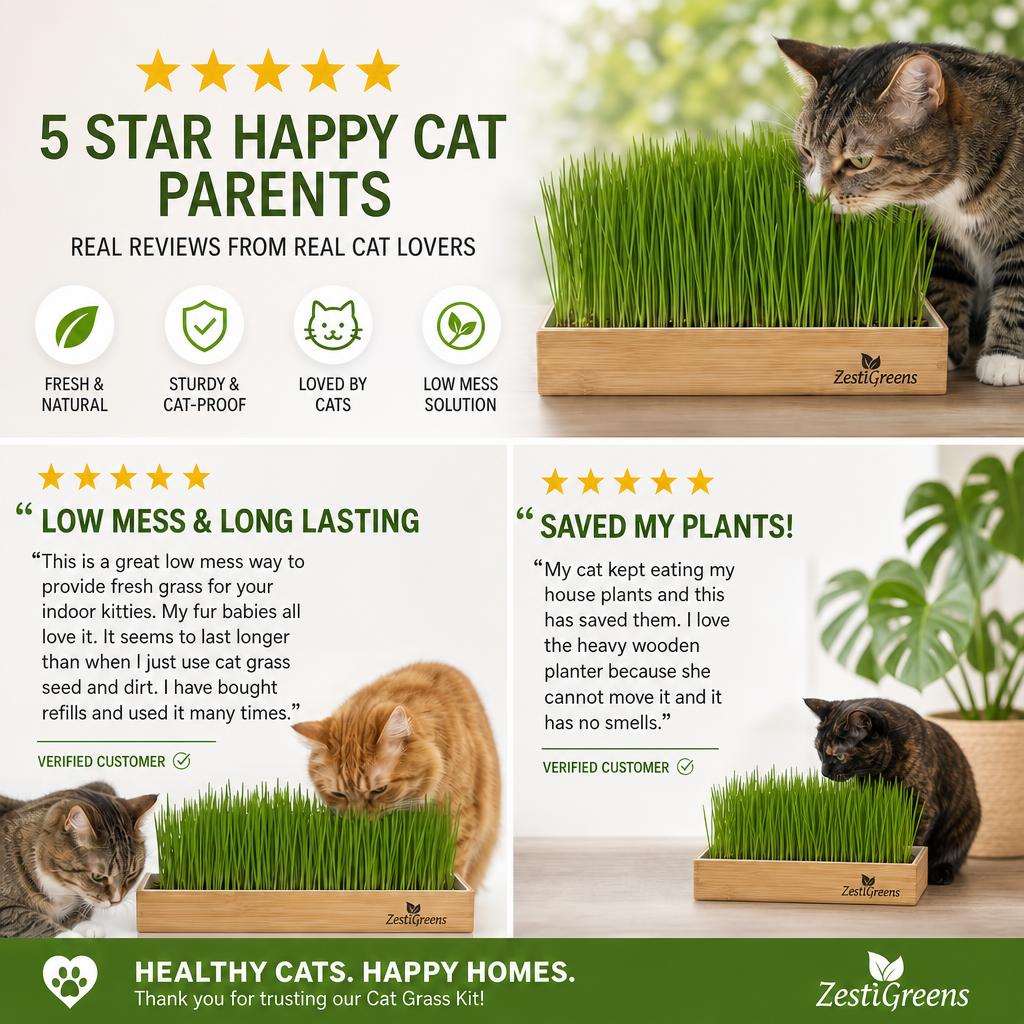 Self Watering Cat Grass Kit. The Easiest Way to Grow Cat Grass.