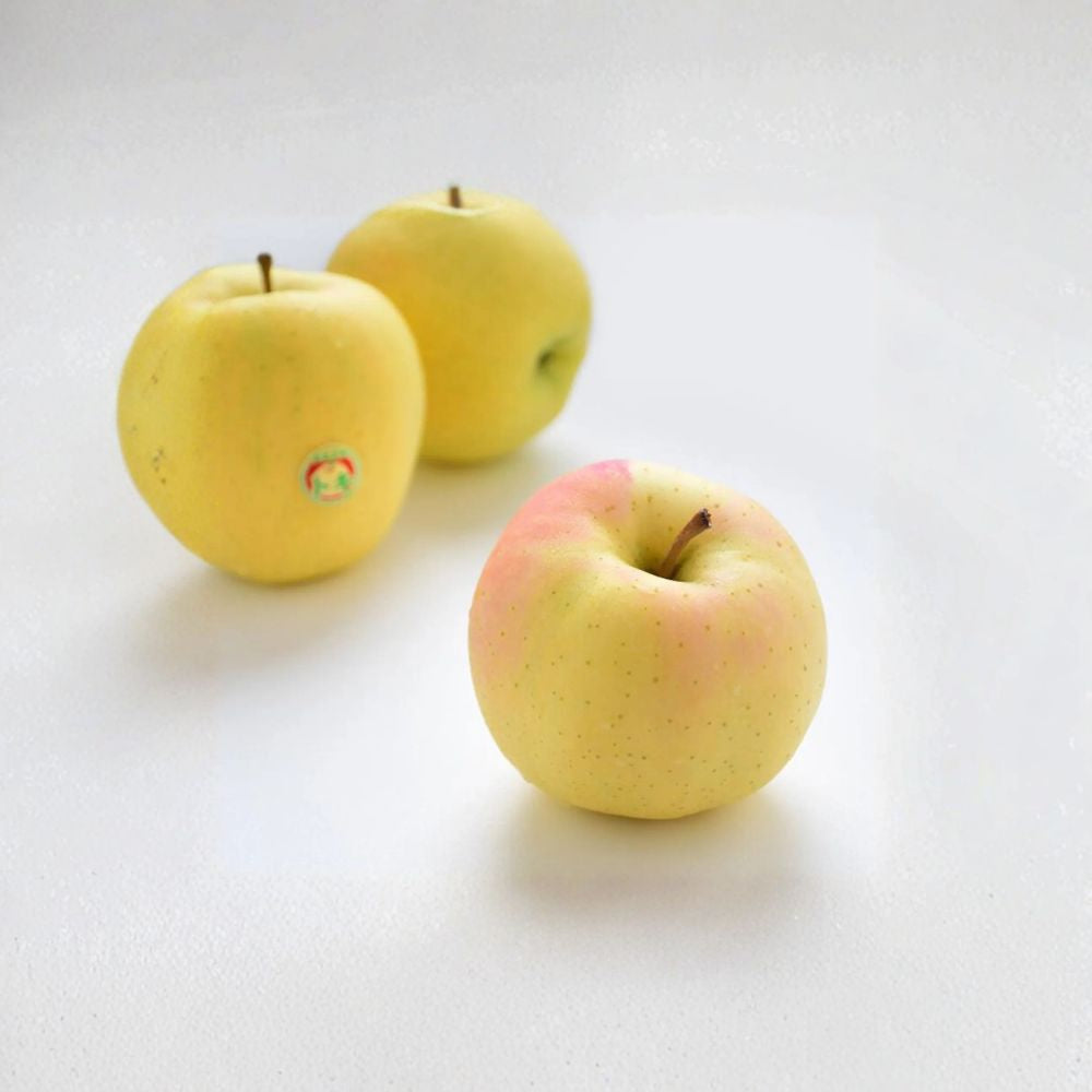 Japanese Aomori Toki Apple Tree - 32 Inch Live Bare Root Tree - Malus domestica - Sweet Peachy Flavor - Ideal for Home Orchards