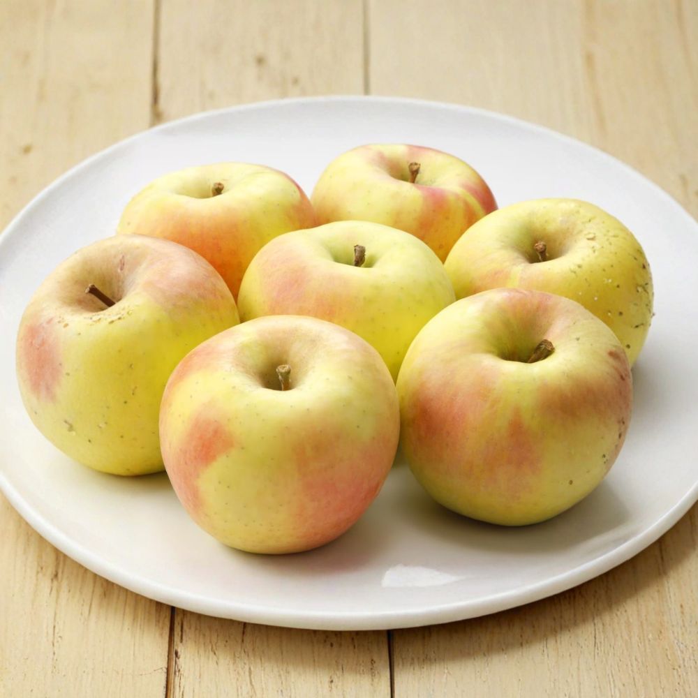 Japanese Gunma Honey Apple Tree - Live Bare Root - Malus domestica 'Gunma Meigetsu' - Super Sweet Peach Apple Variety