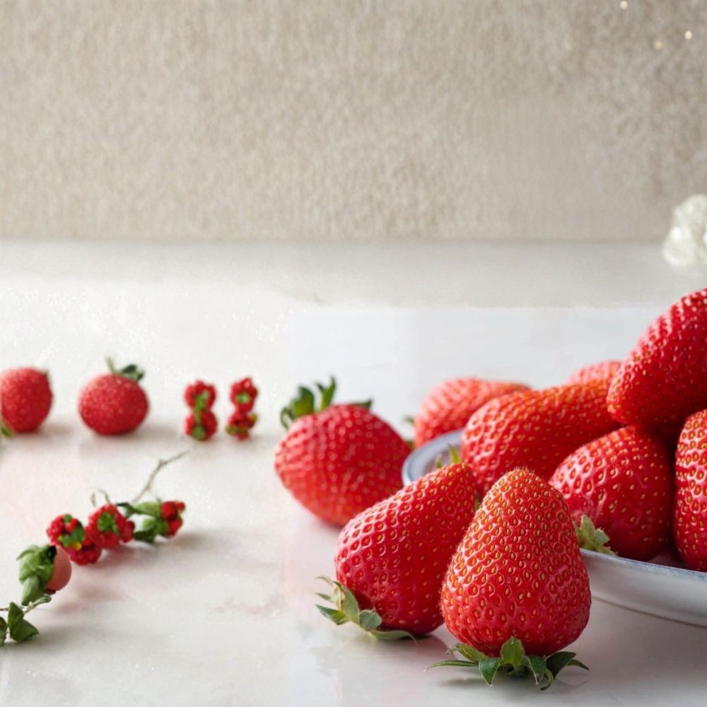Kaorino Strawberry Plants - 5 Bare Root Premium Fragaria × ananassa - Aromatic Japanese Variety for Home Gardens