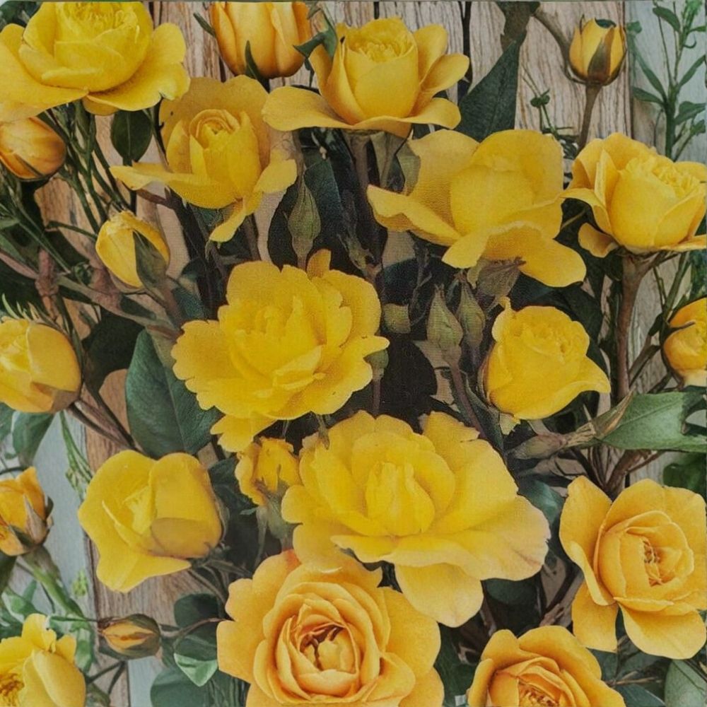 Climbing Rose Plant - 1 Gallon Golden Shower - Daffodil Yellow - Rosa hybrid 'Golden Showers' - Everblooming, Trellis Friendly