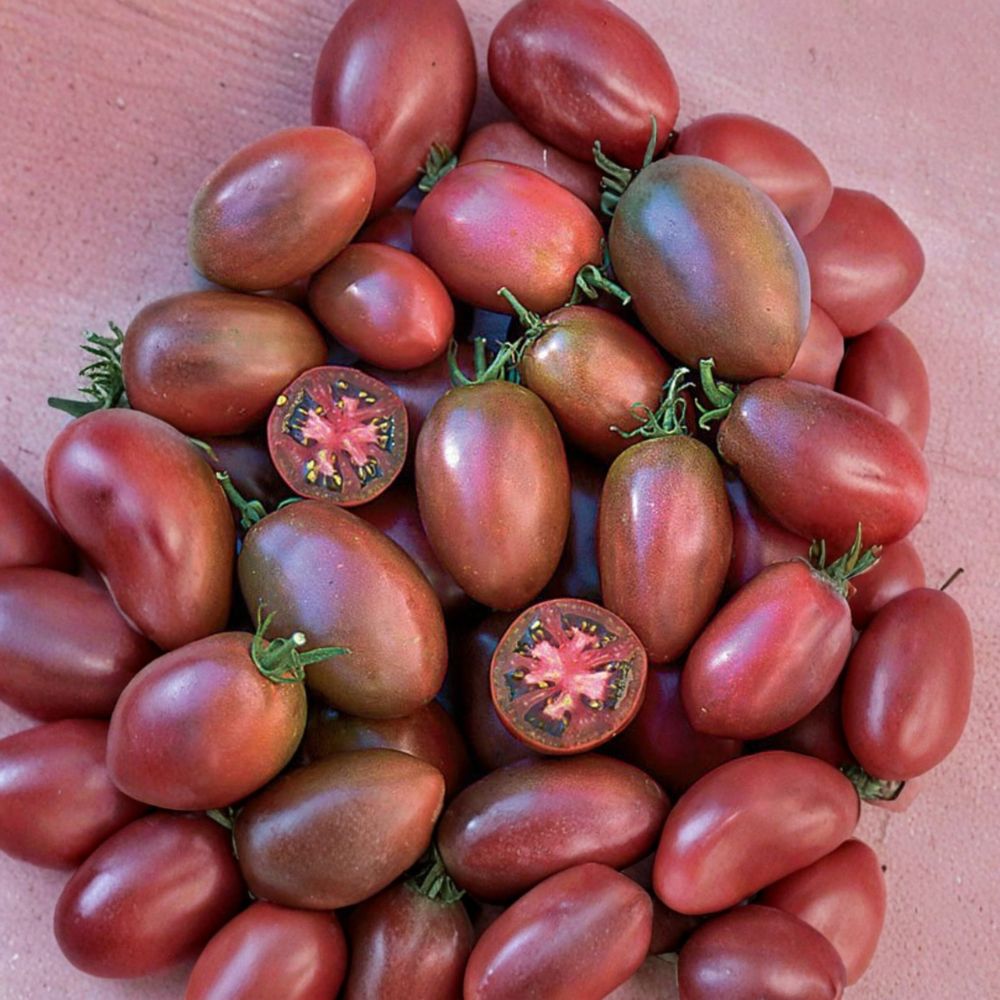 Ukrainian Purple Tomato Seeds | 50 Organic Heirloom Non-GMO | Solanum lycopersicum | Garden & Container Friendly