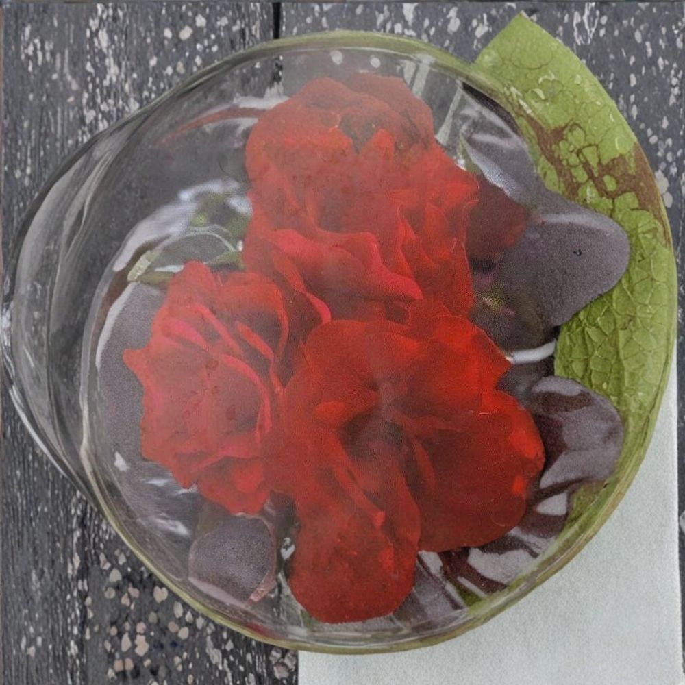 Europeana Floribunda Rose Bush - 2 Gallon Dark Crimson Red Flowering Shrub - Rosa 'Europeana' - Repeat Blooming, Full Sun