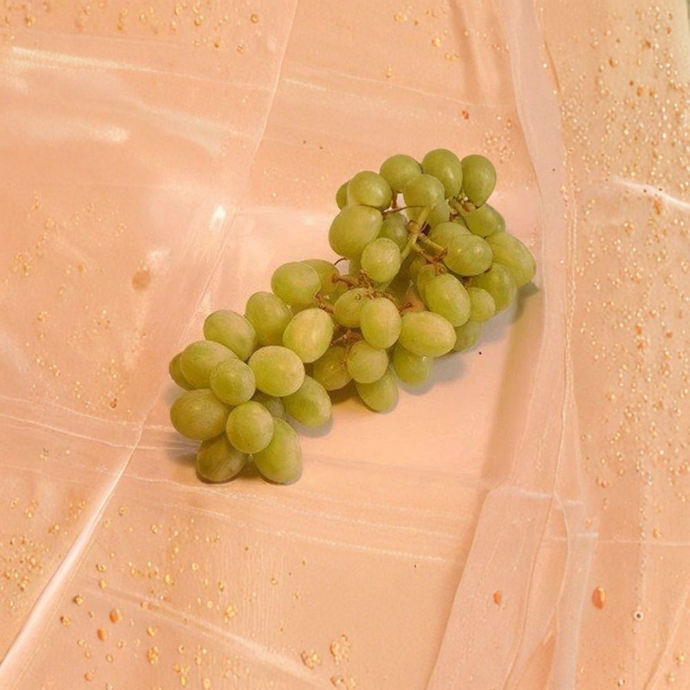 Chardonnay Grape Vine Plant | 3 Gallon Size | Vitis vinifera 'Chardonnay' | Easy to Grow for Home Vineyard & Gardens