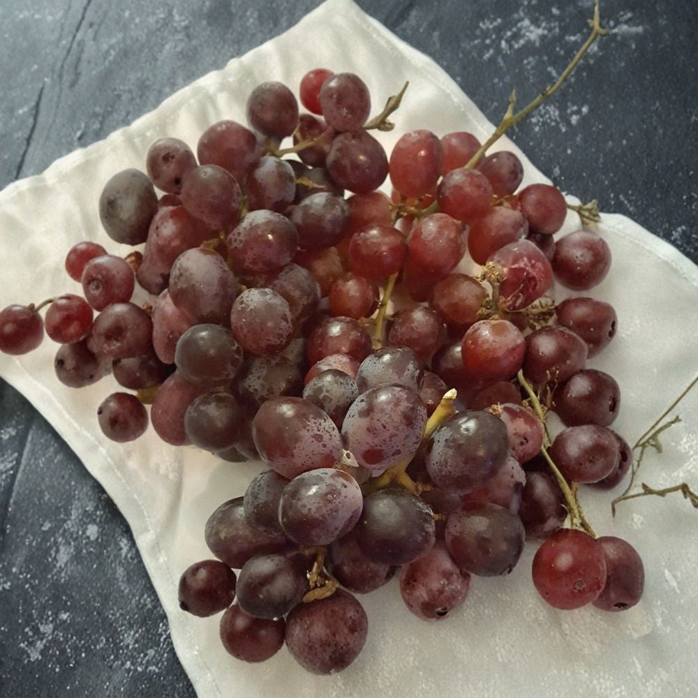 Red Globe Grape Vine | 1 Gallon Live Plant | Vitis vinifera 'Red Globe' | Self-Fertile Fruit Vine | Easy to Grow for Garden
