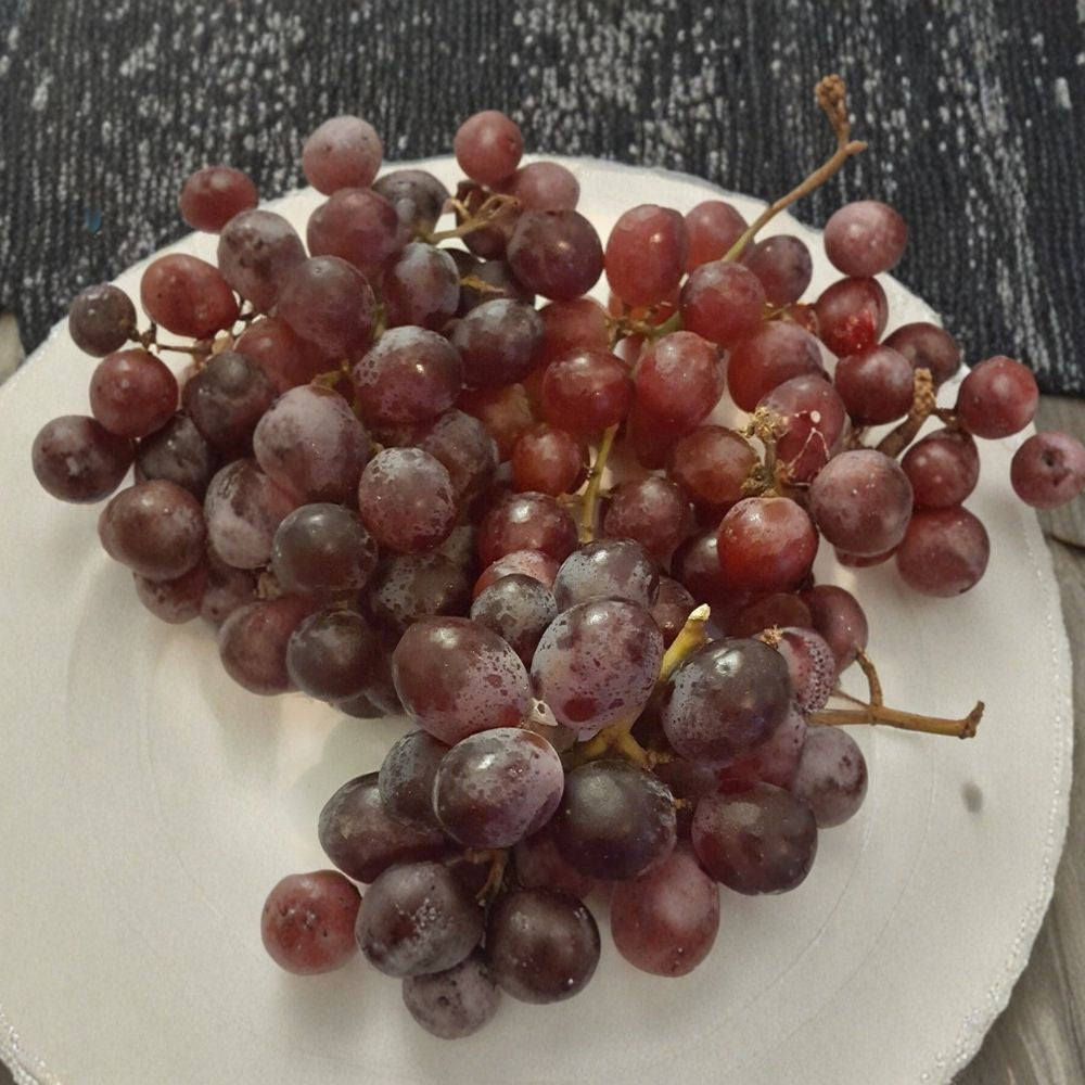Red Globe Grape Vine | 1 Gallon Live Plant | Self-Fertile Fruit Vine | Vitis vinifera 'Red Globe' | Easy to Grow