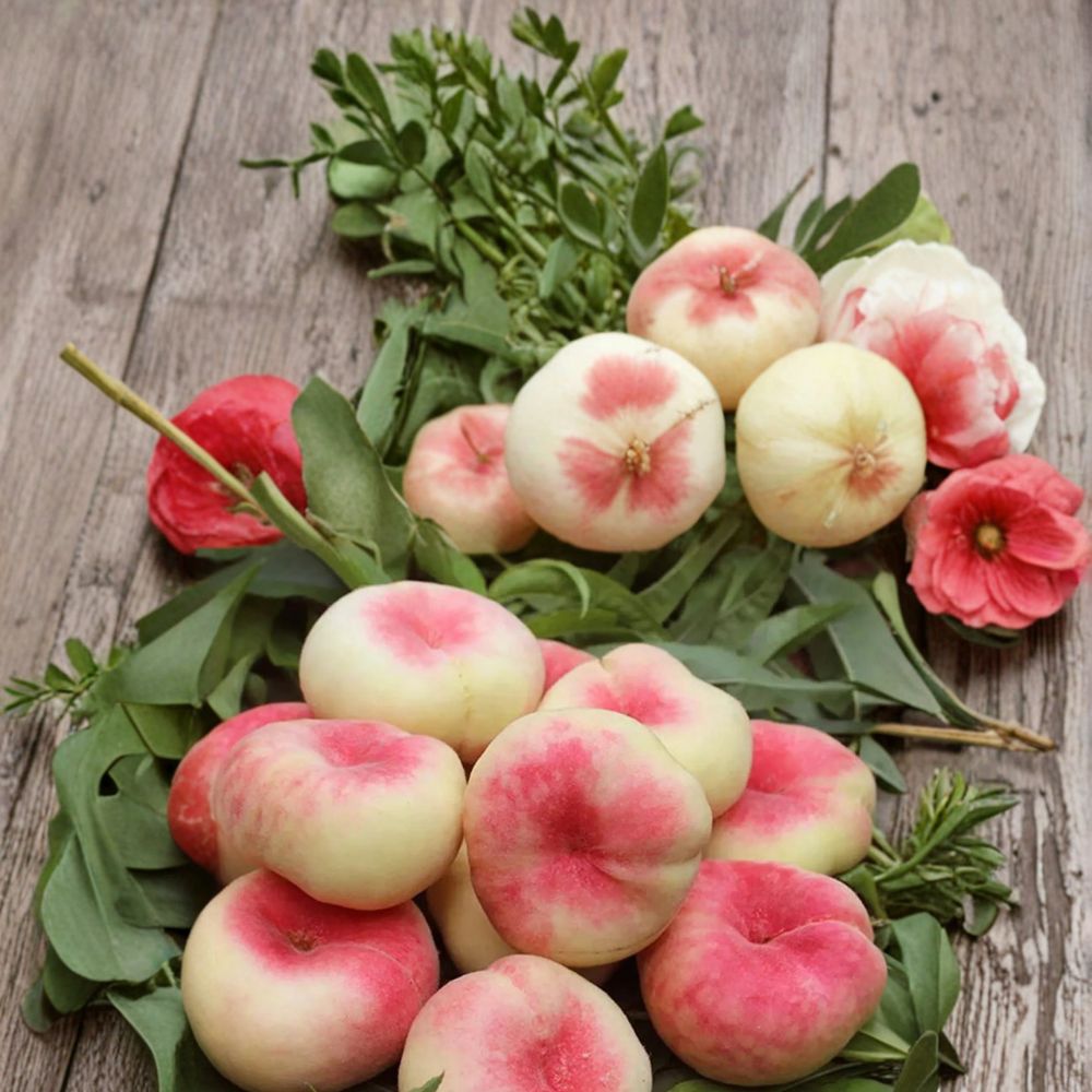 Galaxy Donut Peach Tree 3 Ft Bare Root Prunus persica Sweet White Flesh Fruit Tree Peento Flat Saucer Peach