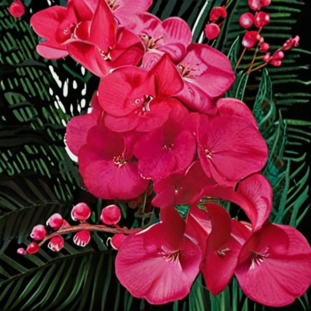 Geranium Seeds - 1,000 Ringo 2000 Violet - Pelargonium x hortorum - Compact, Easy to Grow, Pot-Friendly Variety