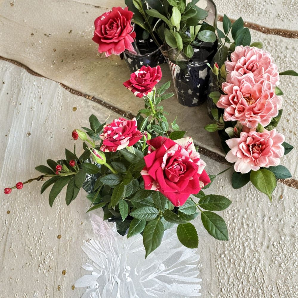 Miniature Mixed Flowering Plant | Red & White | Live Starter Plant | Compact Indoor Outdoor Decor | Botanical Name Varies