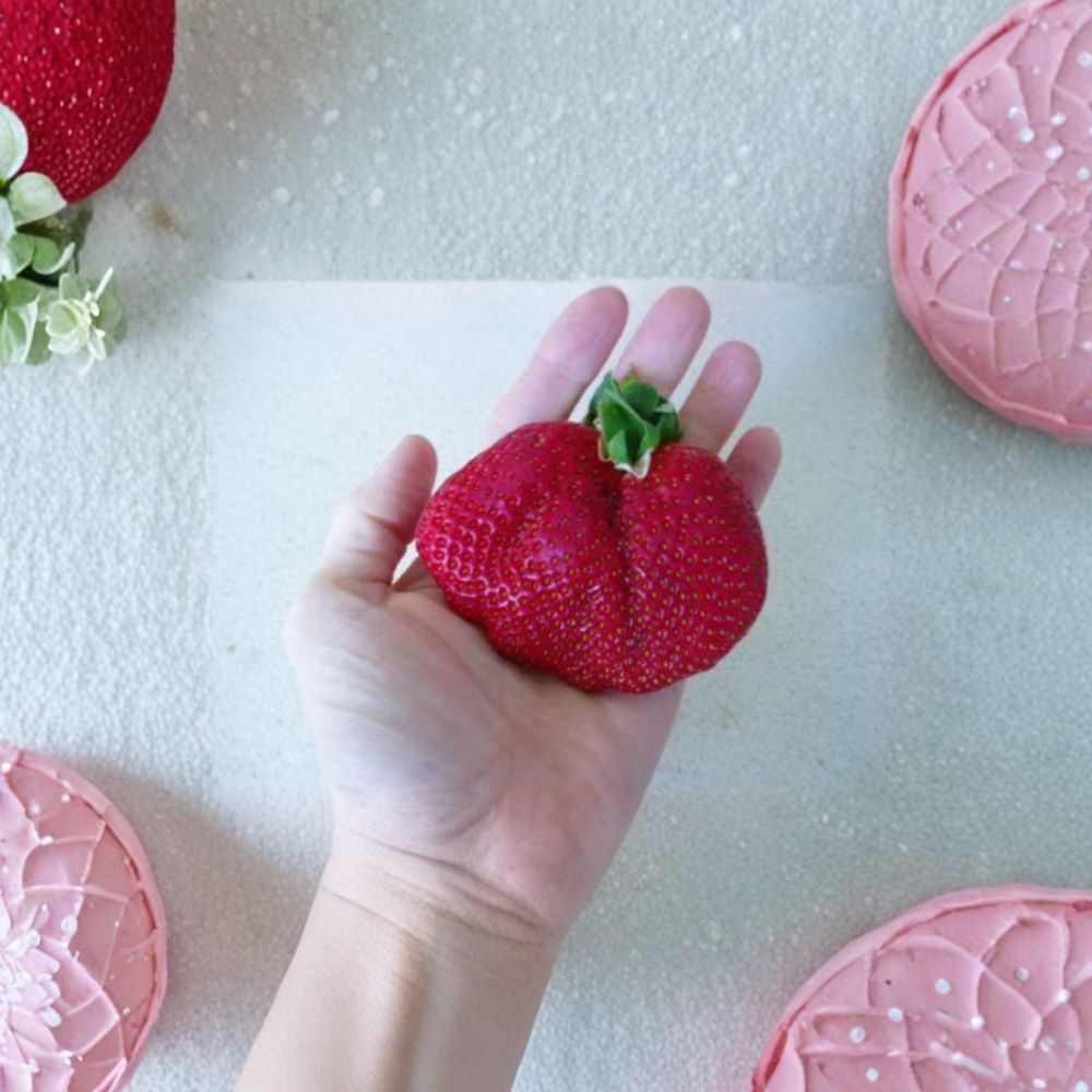 Whopper Strawberry Plants - 5 Live June Bearing Organic Berry Roots - Fragaria × ananassa - Self-Pollinating, Zones 5–10