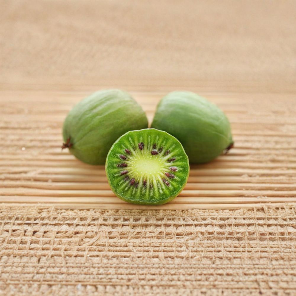 Issai Hardy Kiwi Plant – Live Rooted Vine, Fuzzless Edible Fruit, Self-Pollinating, Actinidia arguta, Zones 3–8