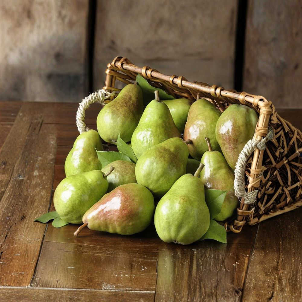 Bare Root Bartlett Pear Tree - Pyrus communis 'Bartlett' - Sweet Juicy Fruit Starter - Patio & Backyard Friendly