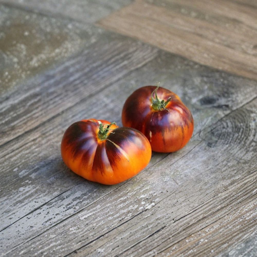 Lucid Gem Tomato Seeds | 15 Organic Non-GMO Heirloom Seeds | Solanum lycopersicum | Brad Gates Variety