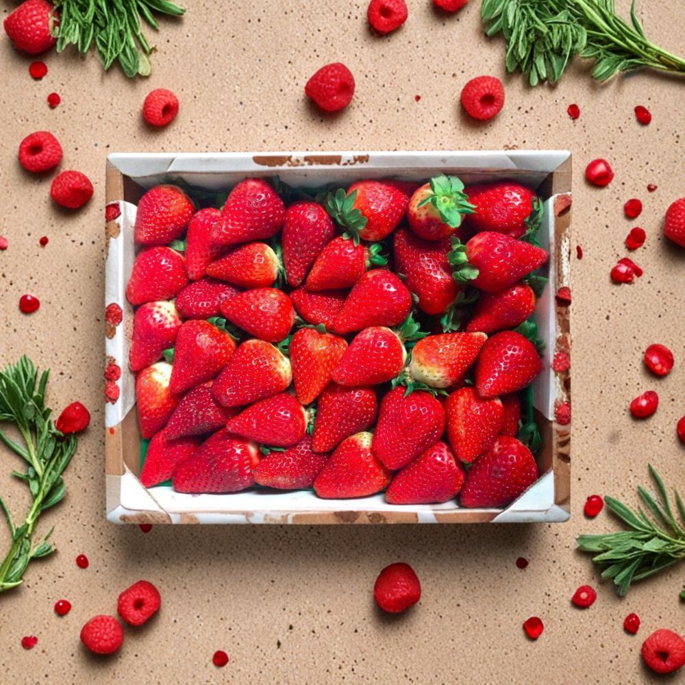 Eclair Strawberry Plants - 5 Live Roots, Sweet Juicy Berries, Self-Pollinating, Fragaria × ananassa, Zones 5–10