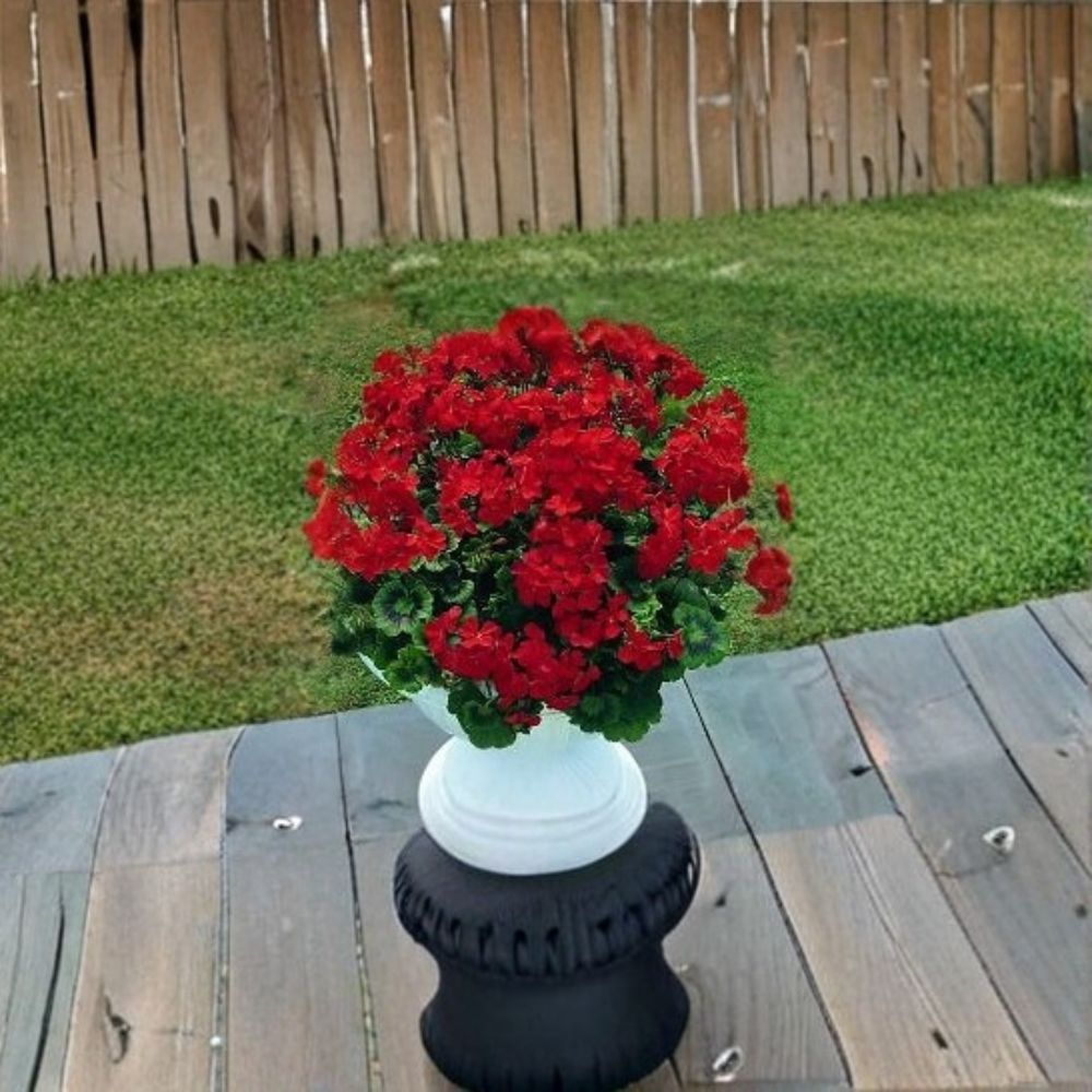 Breakaway Red Geranium Seeds – 100 Premium Pelargonium Seeds | Scarlet Red Heat-Tolerant Garden Flowers