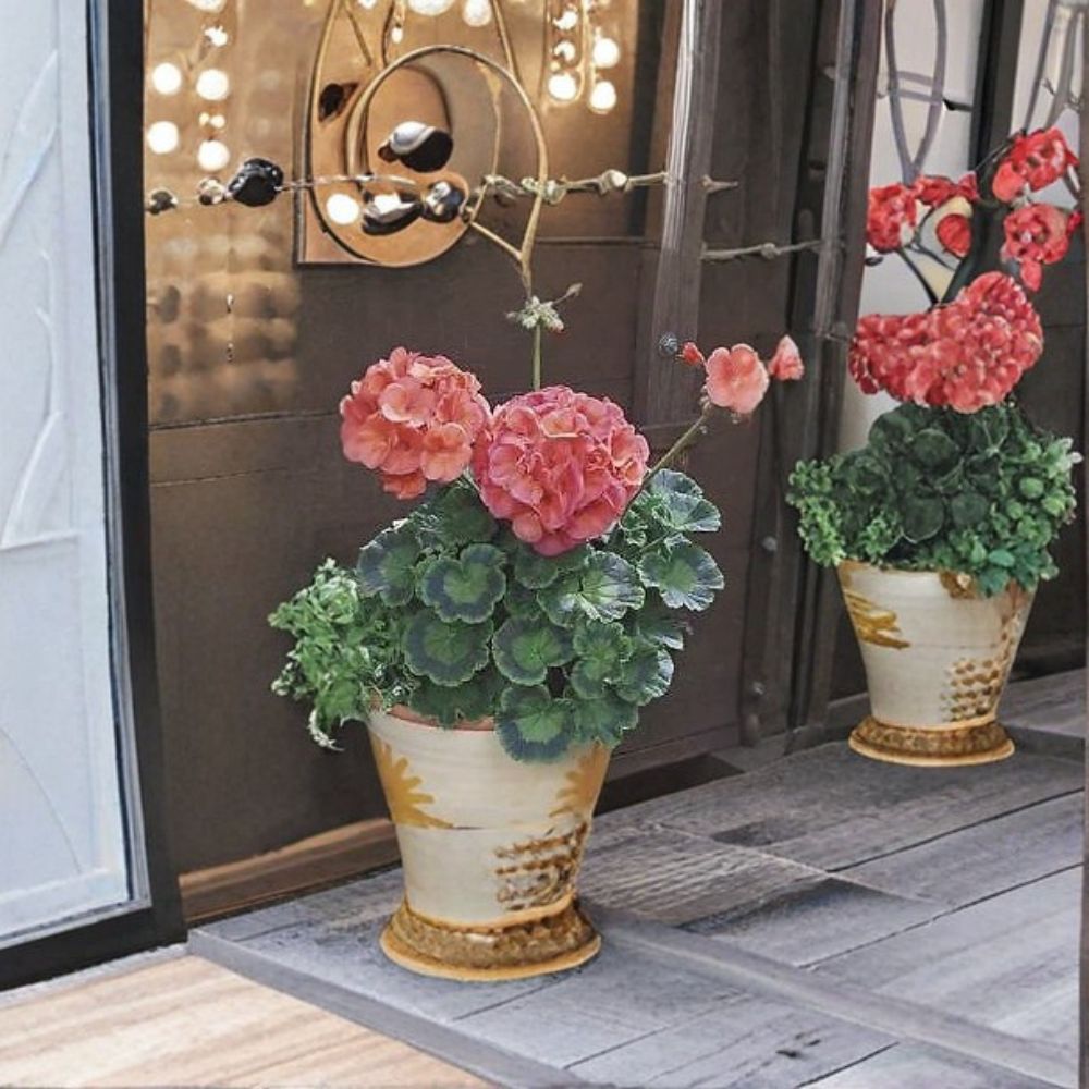 Maverick Coral Geranium Seeds - 100 Pelargonium Seeds | Bright Coral Orange Zonal Flowers for Pots & Baskets