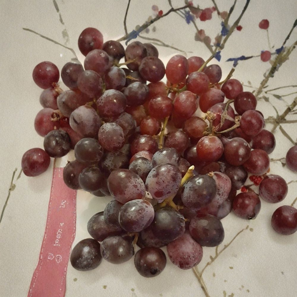 Red Globe Grape Vine 1 Gallon Live Plant | Vitis vinifera | Self-Fertile Fruit Vine | Easy to Grow for Home Garden