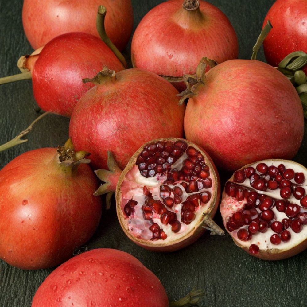 Wonderful Pomegranate Tree - 3 Ft Potted Fruit Tree - Self-Fertile with Sweet Tangy Red Fruit - Punica granatum