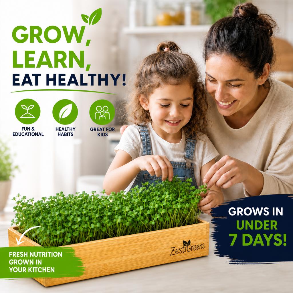 Microgreens Growing Kit Self Watering
