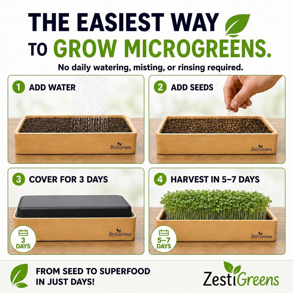 Microgreens Growing Kit Self Watering