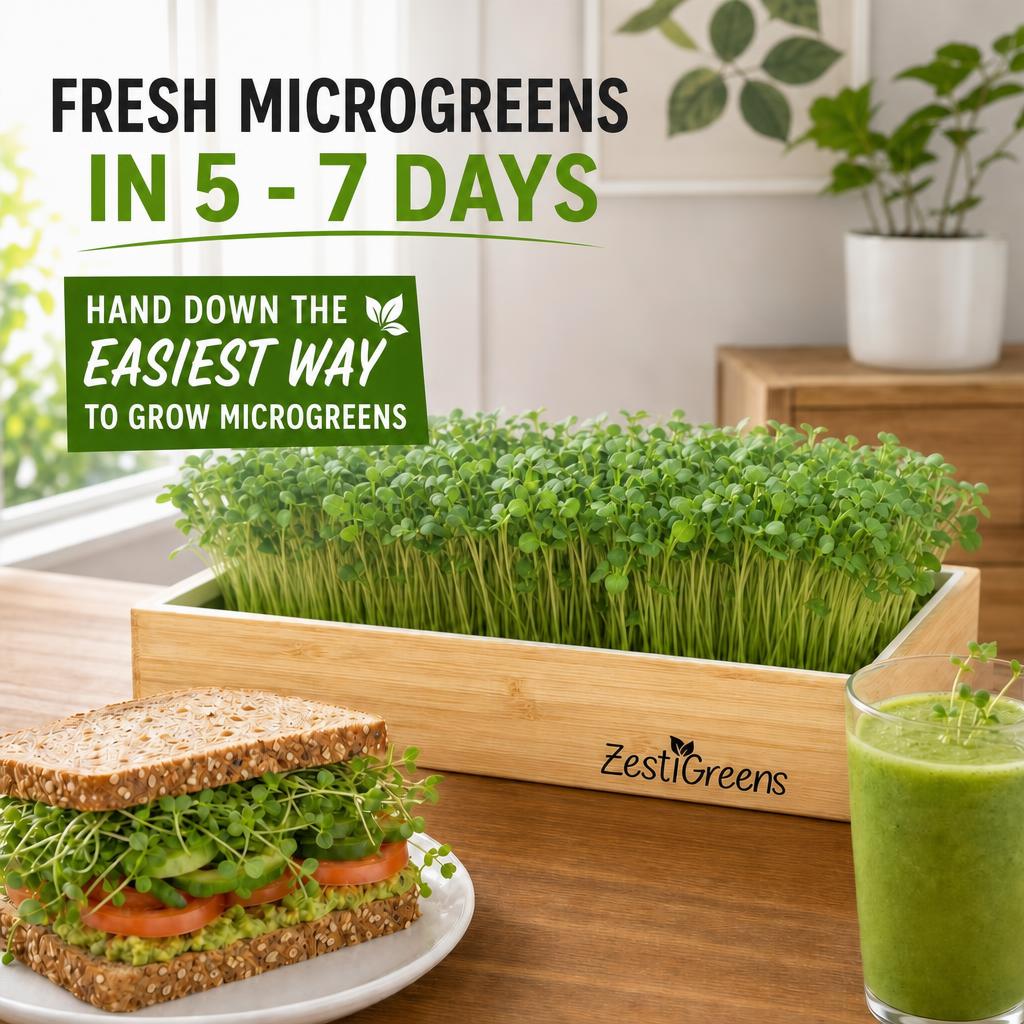 Microgreens Growing Kit Self Watering