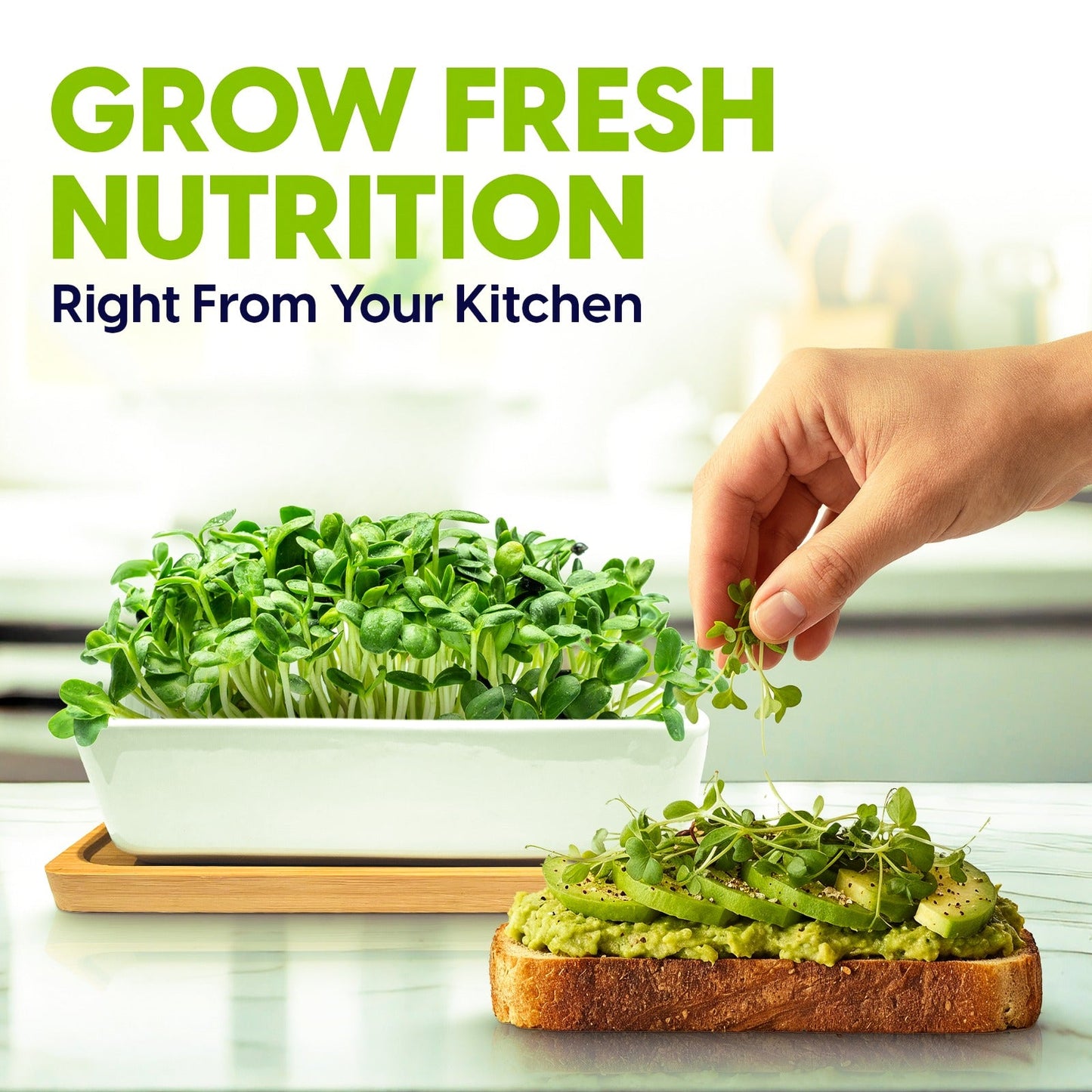 Ceramic Microgreens Growing Kit to Grow 3 Crops Including Organic USDA Sunflower, Melon & Mixed Microgreens Seeds.