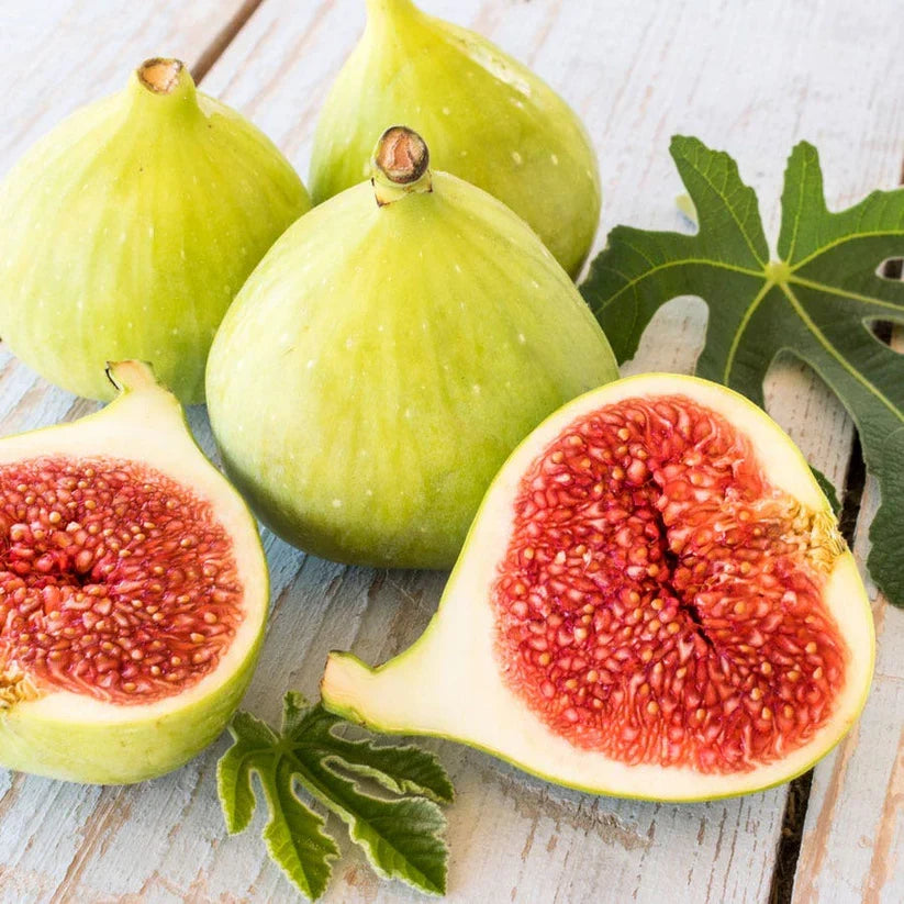 2 Unrooted Fig Cuttings - Desert King Variety (Ficus carica) - Cold Hardy Green Fig with Sweet Red Flesh - Ideal for Propagation