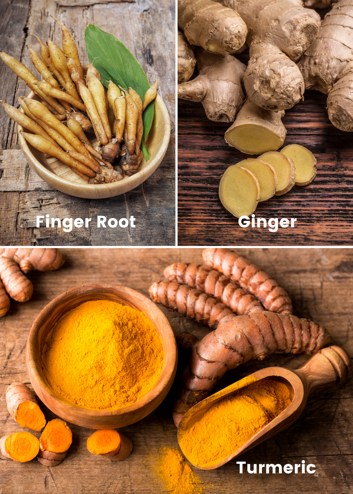 Roots Bundle: Turmeric + Finger Root + Ginger