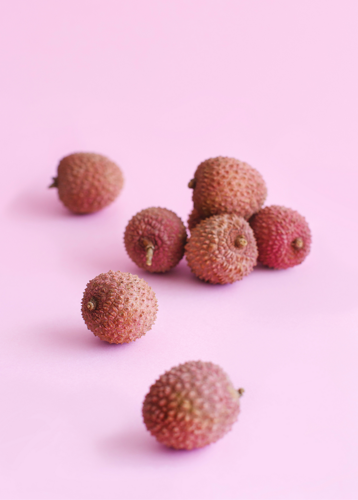 Lychee 'Brewster' (Litchi chinensis)