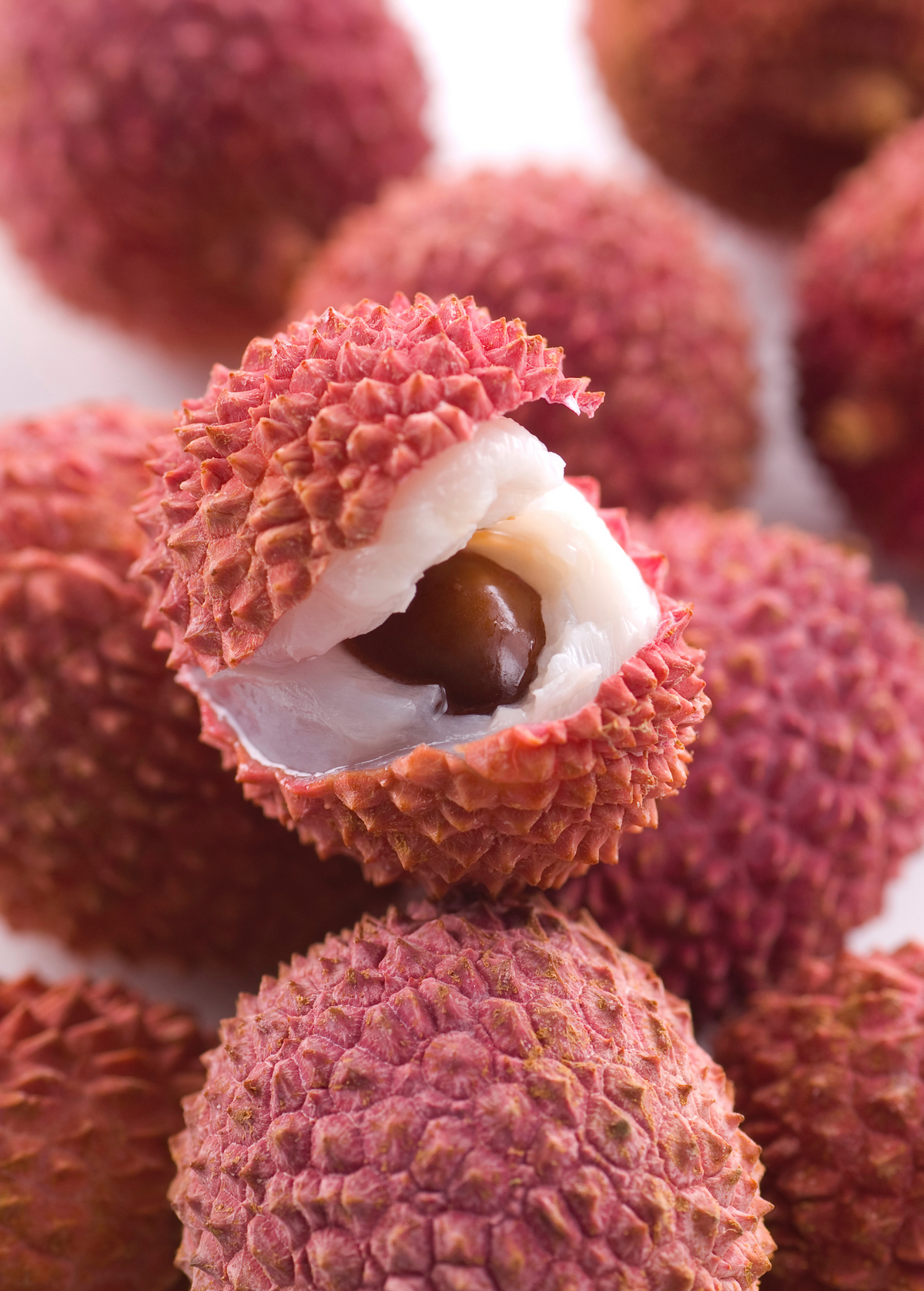 Lychee 'Brewster' (Litchi chinensis)