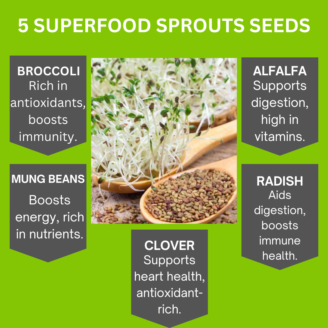 Organic 5 Variety Pack of Fresh Sprouting Seeds
