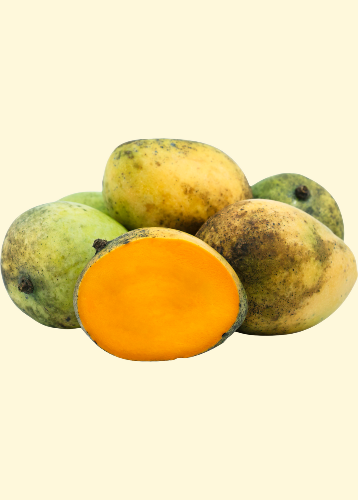 Mango 'Sweet Tart' (Mangifera indica)