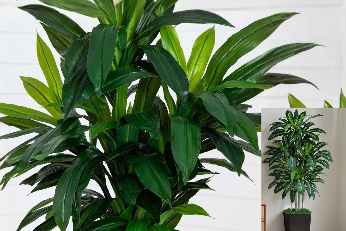 5 Ft Artificial Dracaena Tree, Faux Floor Plant with Real Touch Leaves, Black Planter, Indoor Home and Office Decor