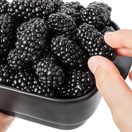 3 Big Daddy Thornless Blackberry Plants - Rubus Hybrid Bare Root Bushes for Garden, Patio, Home Orchard - Sweet Berries