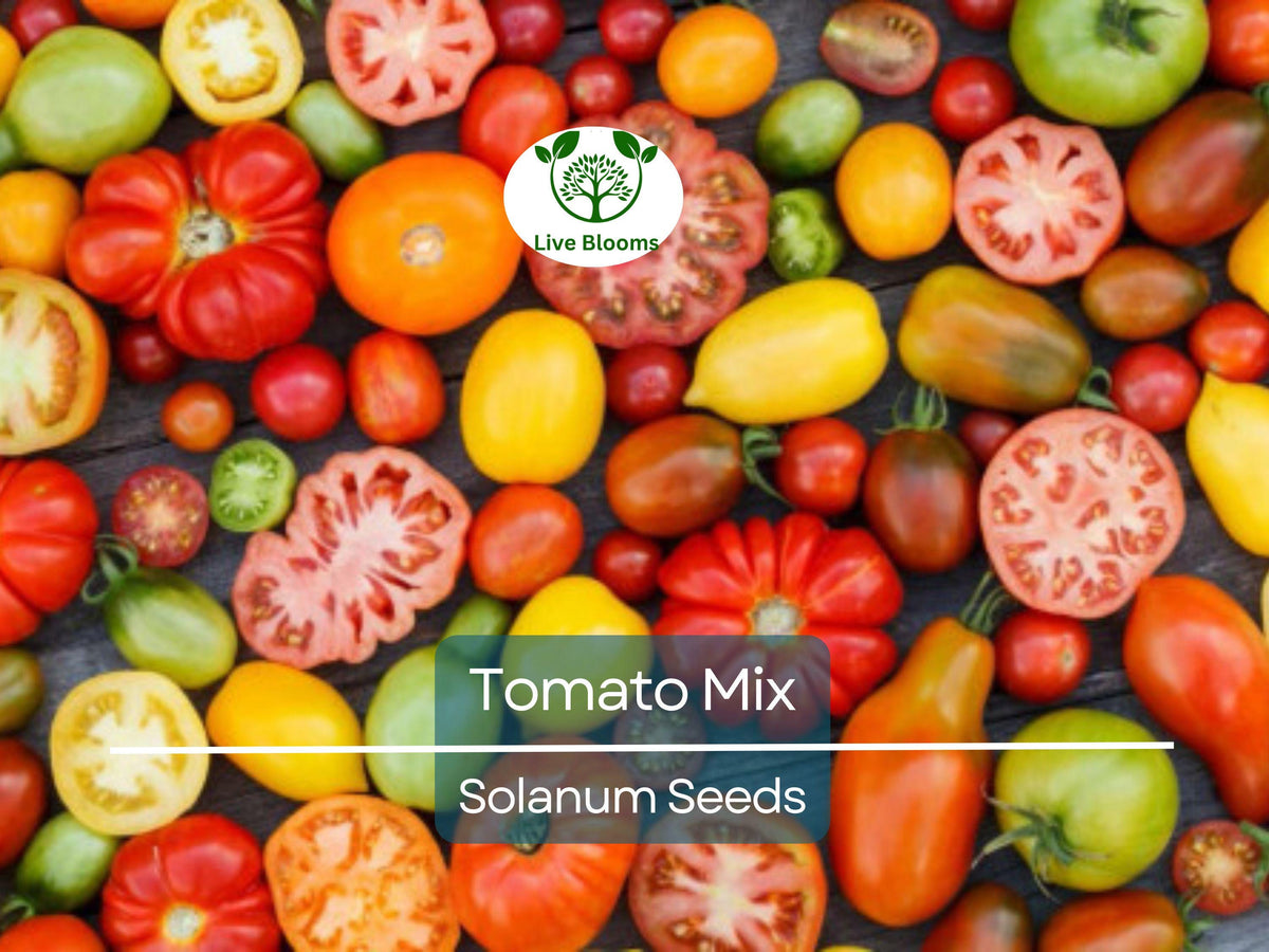 100 Heirloom Tomato Mix Seeds - Colorful Varieties for Planting - Lycopersicon esculentum - Non-GMO & Open-Pollinated