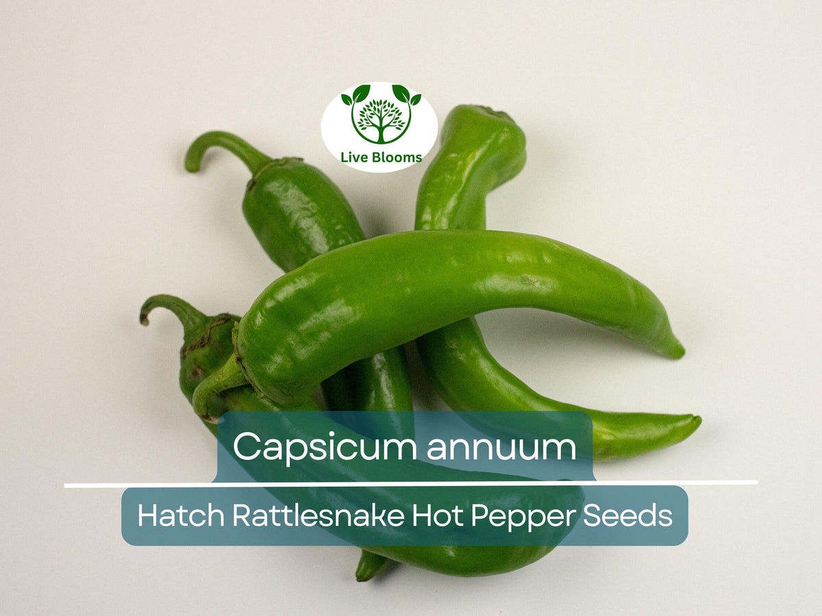 Hatch Rattlesnake Hot Pepper Seeds 250 mg - Capsicum annuum - Heirloom Chili for Gardening & Bold Spicy Flavor