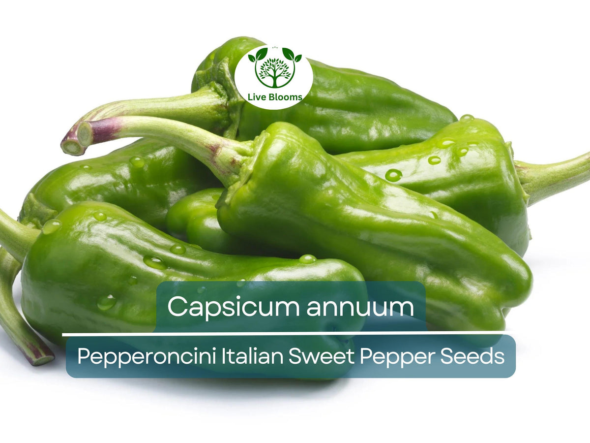 250 mg Pepperoncini Seeds - Capsicum annuum Heirloom Sweet Pepper for Planting, Pickling & Culinary Use