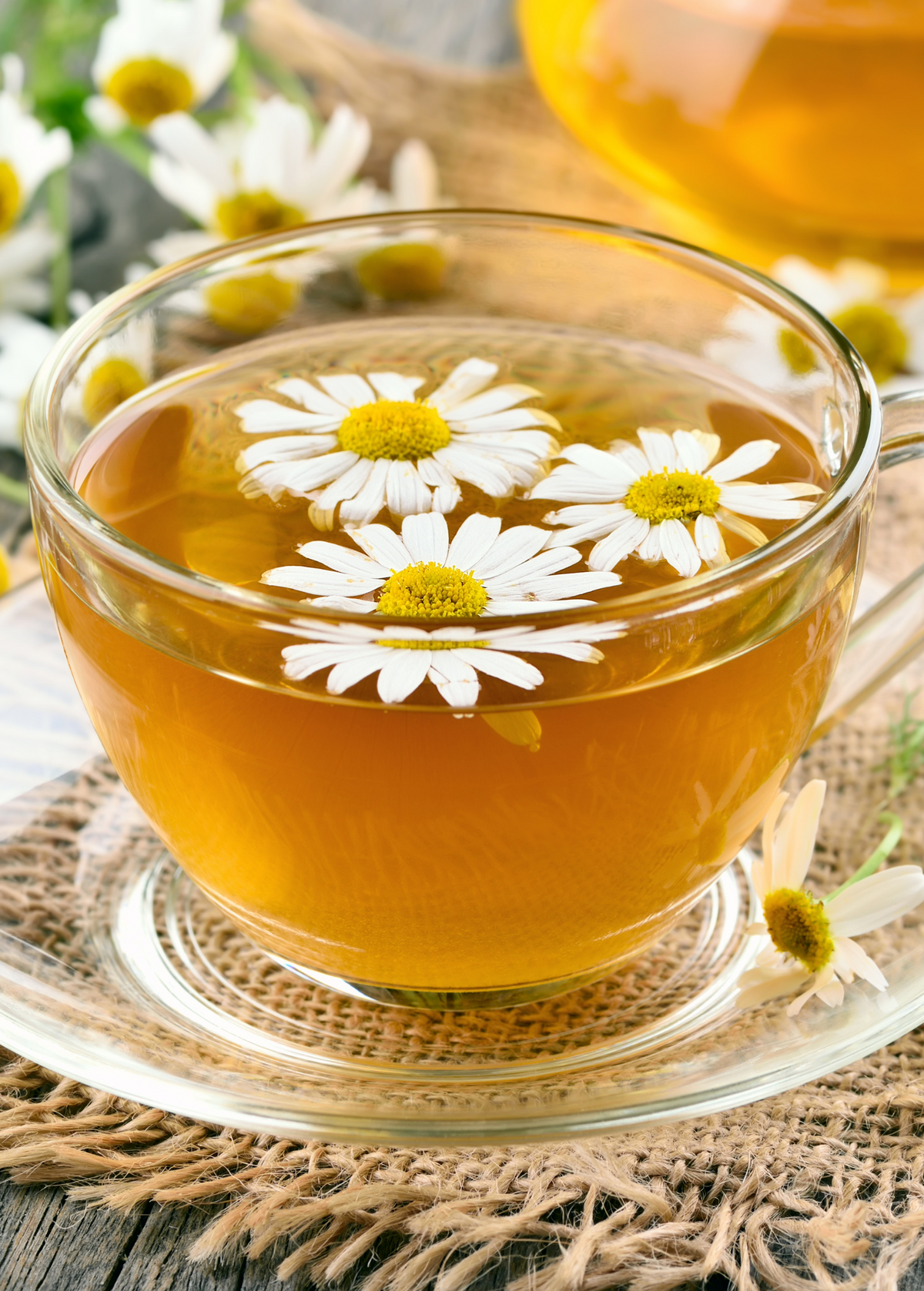 Chamomile (Matricaria chamomilla)