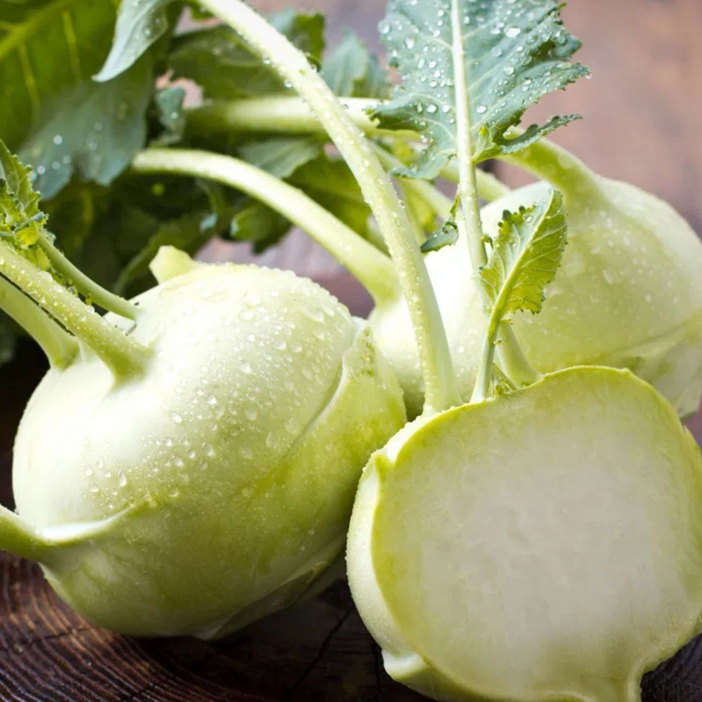 Kohlrabi Seeds 50+ Pure White Beas Kohlrabi Brassica oleracea var. gongylodes for Planting