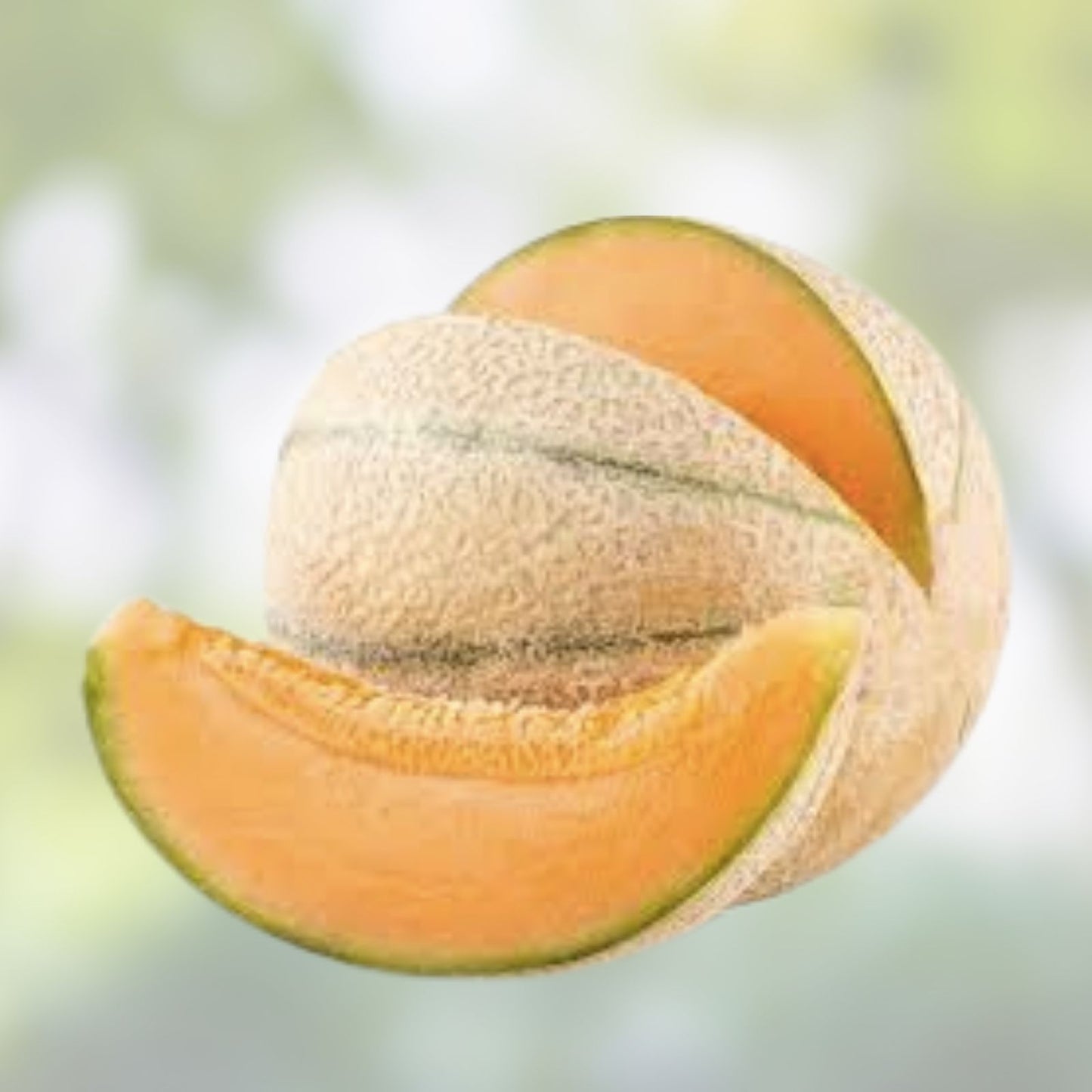 Ambrosia Cantaloupe Melon Seeds, 10 Pack - Sweet Juicy Variety for Home Garden - Cucumis melo