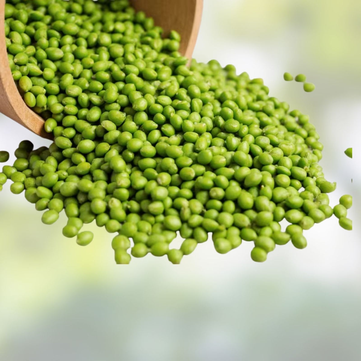 Organic Green Lentils 16 oz – Nutrient-Rich Legumes for Cooking and Baking – Lens culinaris