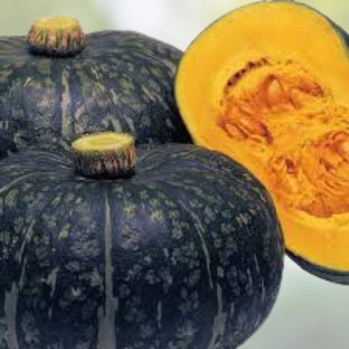 Sweet Jade Kabocha Squash Seeds - 10 Dwarf Seeds for Easy Growing Cucurbita maxima