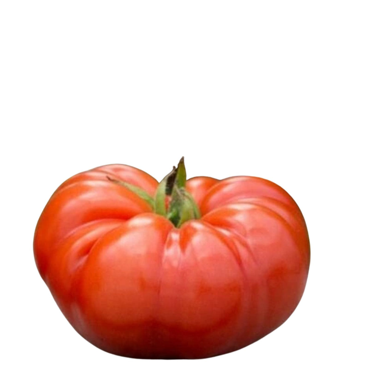 Beefsteak Tomato Seeds Organic Non-GMO Heirloom Variety Solanum lycopersicum Gardening Seeds for Home Garden
