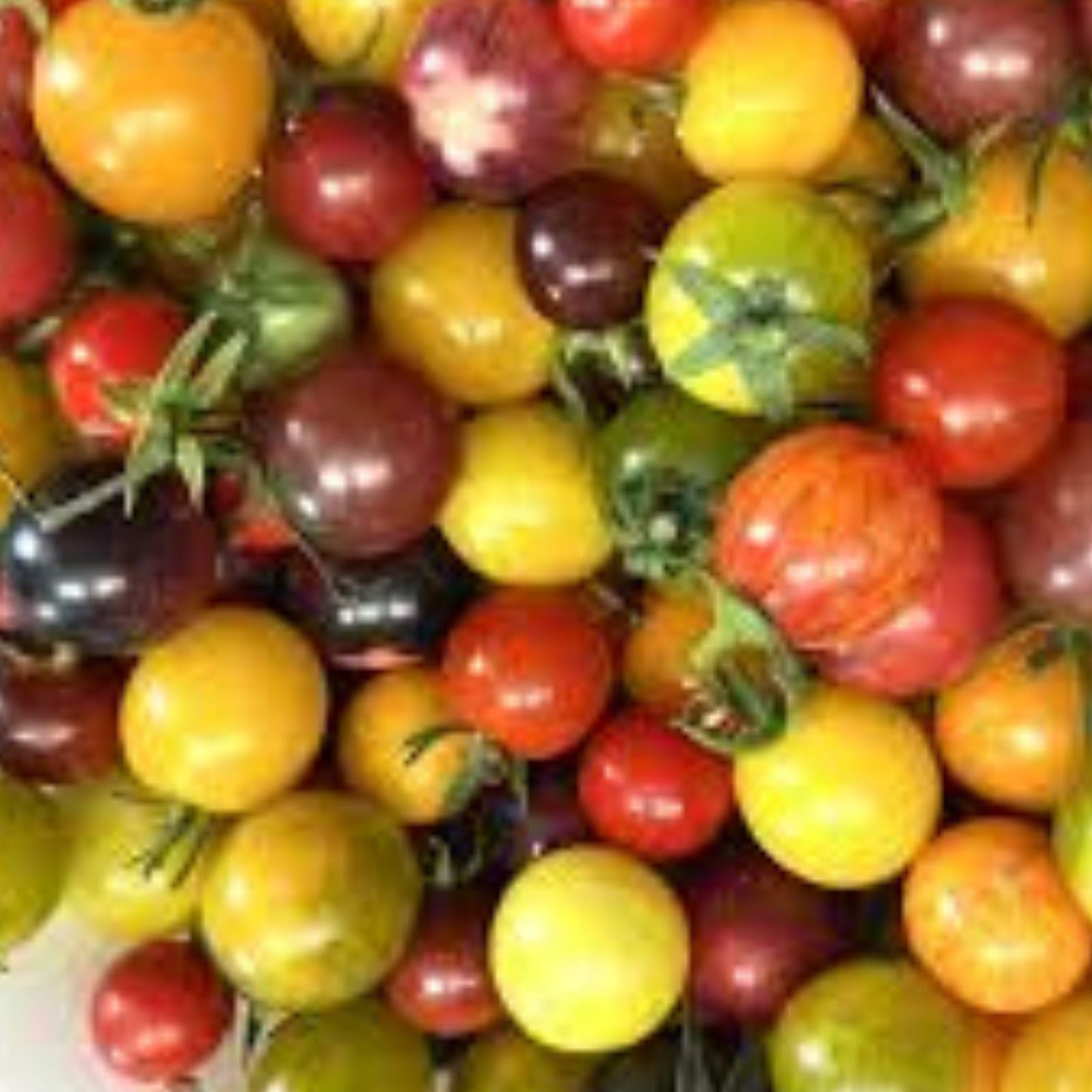 Black Cherry Tomato Seeds, 100+ Seeds, Midnight Snack Variety, Solanum lycopersicum, heirloom, organic, garden, vegetable seeds